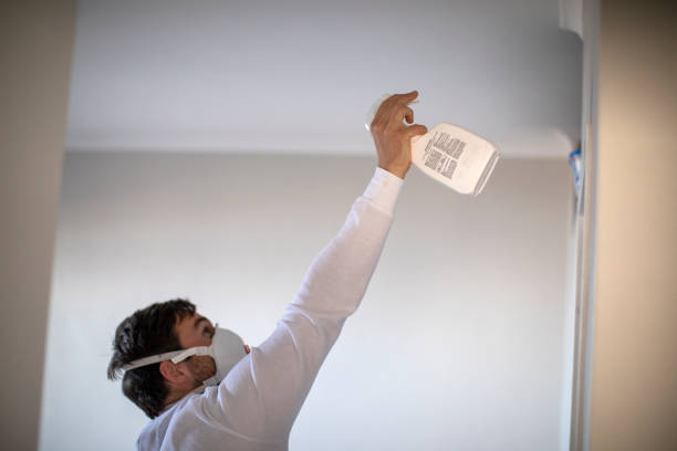 Water Damage Restoration in Demopolis, AL