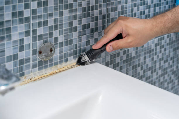 Best Commercial Mold Removal  in Demopolis, AL