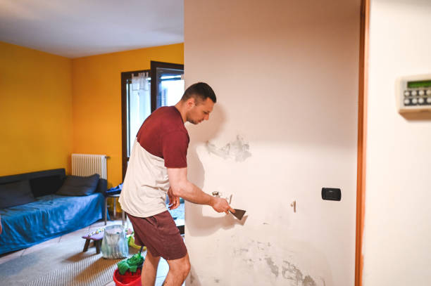Best Crawl Space Mold Removal  in Demopolis, AL